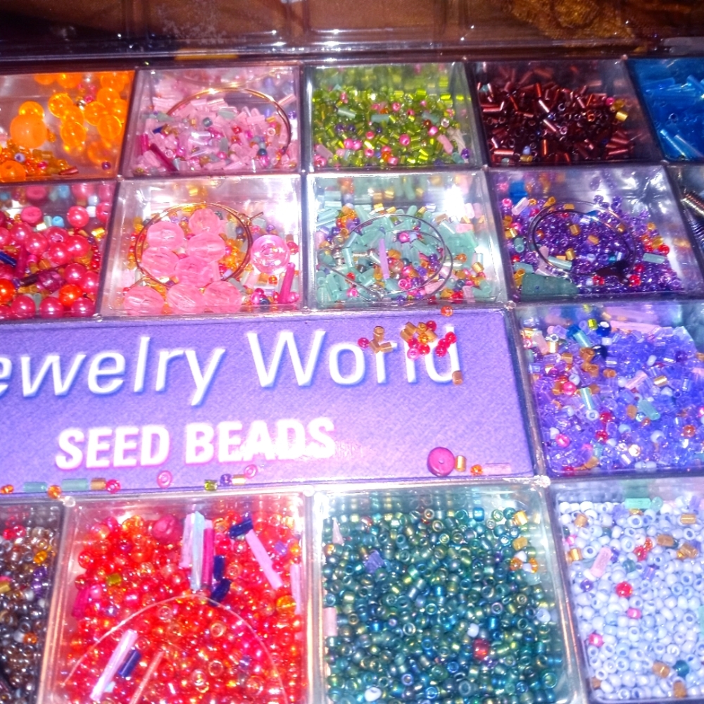 Container with Dividers..Carrying over 2000 Various Style and Color Beads